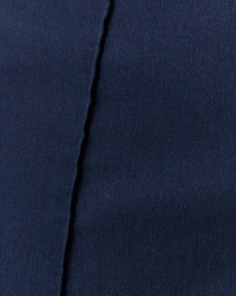 BENGALINHOSE L VON BLUEBEERY